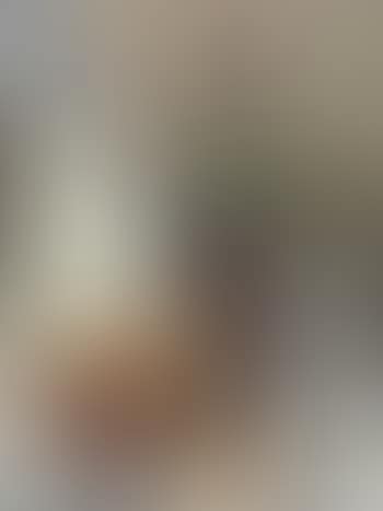 Bouteille de vin et oignons (preview)