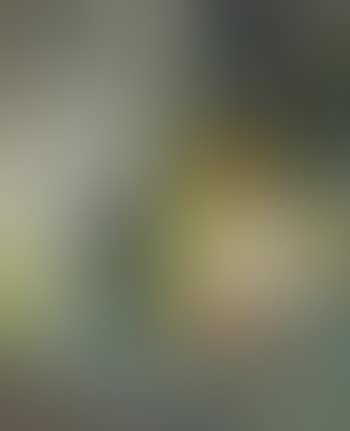 Ohne Titel (Merzbild Mit Schuhsohle) (preview)
