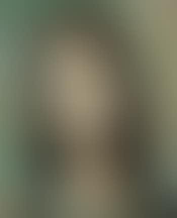 Portrait d'une femme (preview)