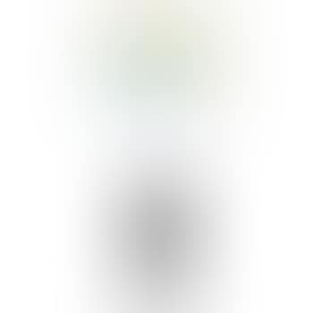 Holograph (preview)
