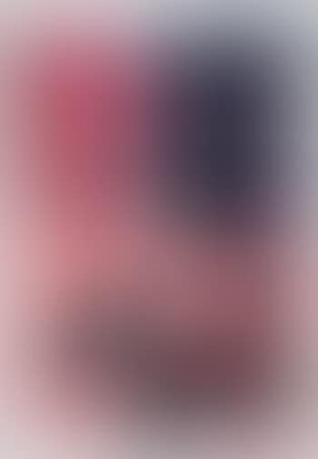 Félix flag (preview)
