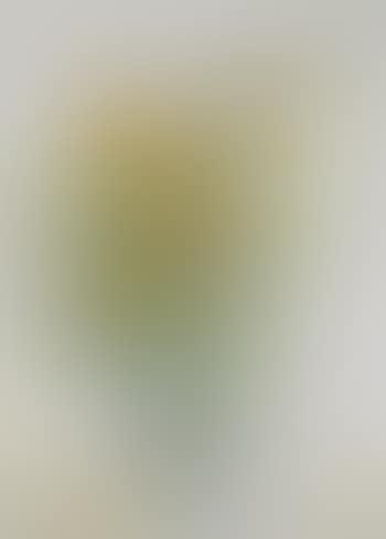 Still Life (preview)