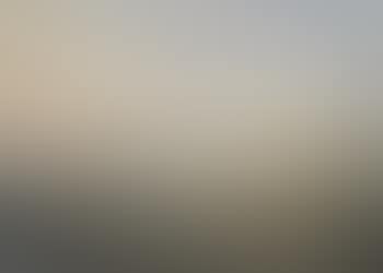 New York Harbor (preview)