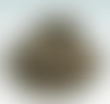 Nudo (preview)