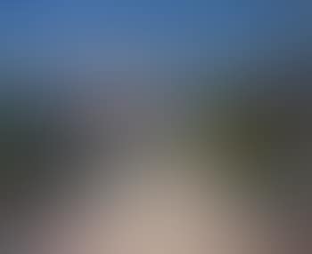 Paysage méditerranéen (preview)