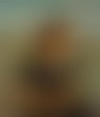 Retrato (Portrait) (preview)