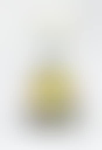 Oval (Peter Norton Christmas Project) (preview)