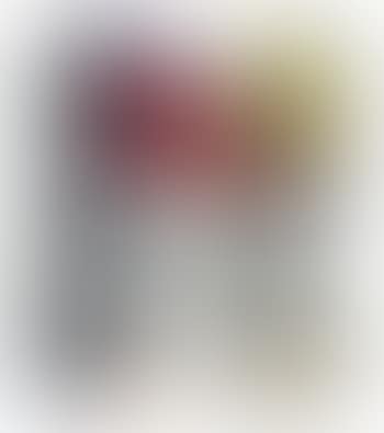 Nude with Red Shirt (preview)