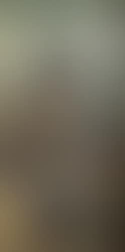 Man in cotton field (preview)