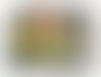 Beach House (preview)
