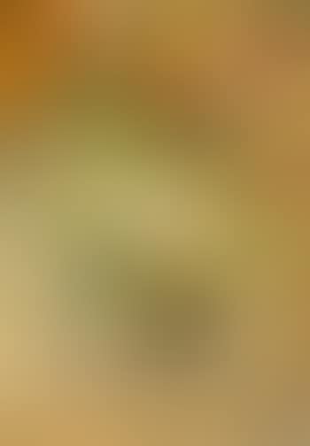 Nature morte avec fleurs (preview)