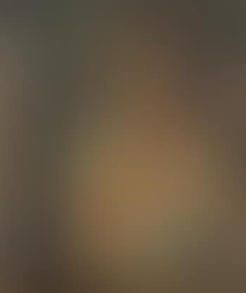 Portrait de femme au sein nu (preview)