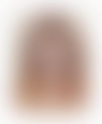 Cheryl Tiegs (preview)