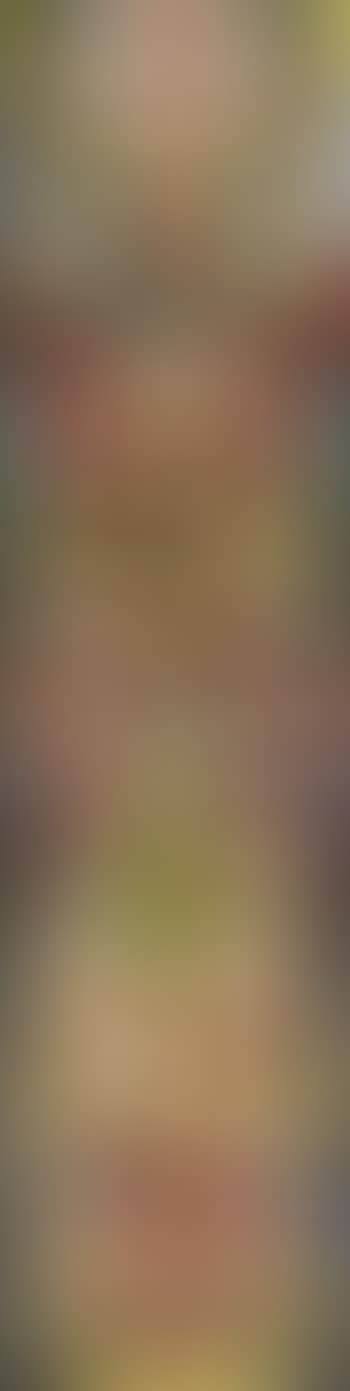 Prototem (preview)