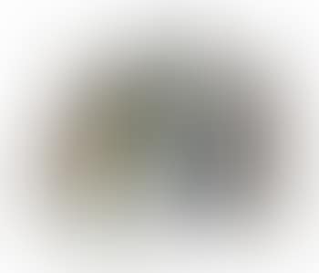 #18 Voortrekker (preview)