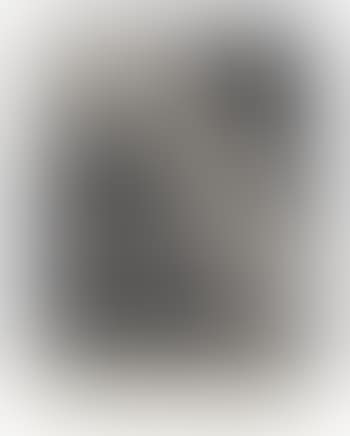 Study for the Star Sack (preview)