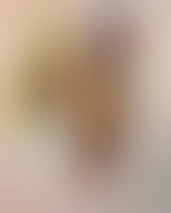 Three studies of the head of an Algerian beauty (preview)