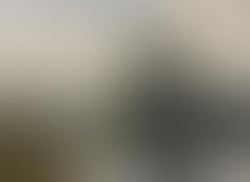 Uferpartie mit Maler und Staffelei. (preview)