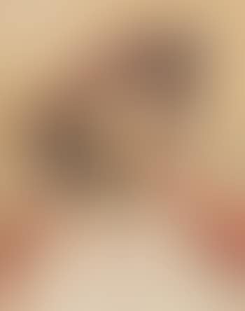Kardinal. (preview)