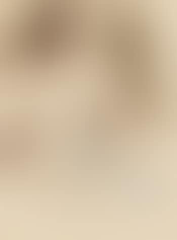 Torso. (preview)