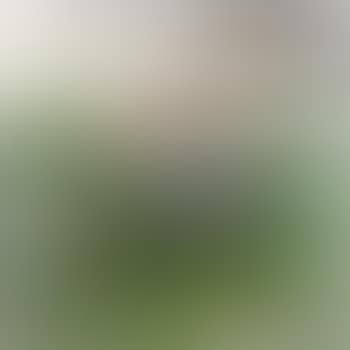 Paysage (preview)