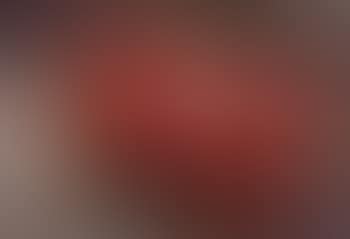 Nature morte (preview)