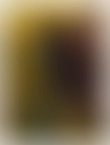 Ohne Titel (Silberbild) (preview)