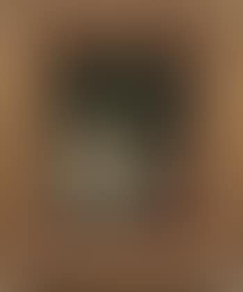 Risveglio della dama. Il cicisbeo (preview)