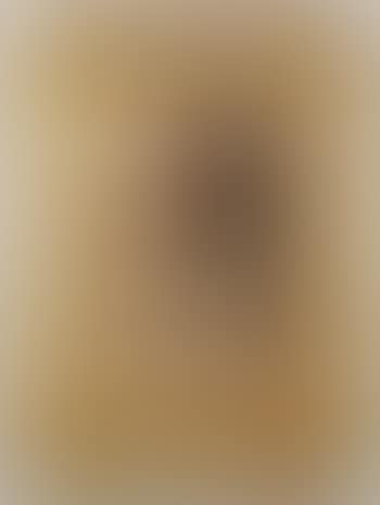 Nu en les ombres (preview)
