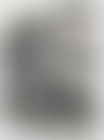Der Heilige Hubertus, auch Eustachius genannt. (preview)