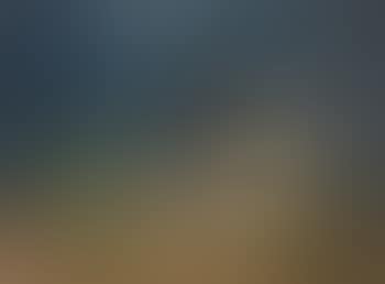 Nature morte (preview)