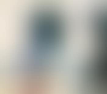 The Visit (preview)