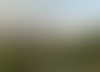 Blick auf Arco (preview)