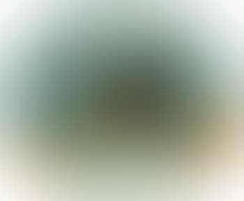 Nature morte (preview)