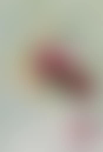 Bouquet de roses dans un vase (preview)