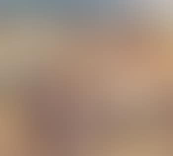 Kamele (preview)
