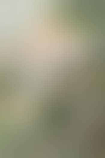 Blick auf die Festung Hohensalzburg (preview)