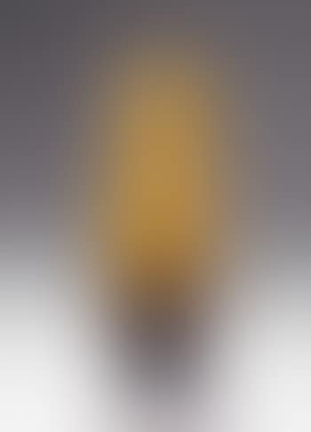 Vase Mit Orchideen Und Bienen (preview)