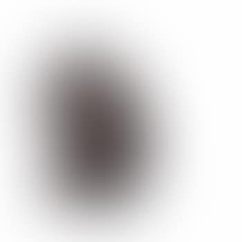 Selbstbildnis (preview)