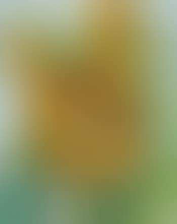 Sunflowers (preview)
