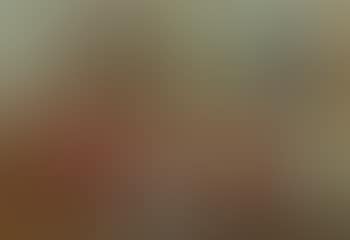 Instruments De Musique Et Vase De Fruits (preview)