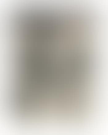 Untitled (Robe) (preview)