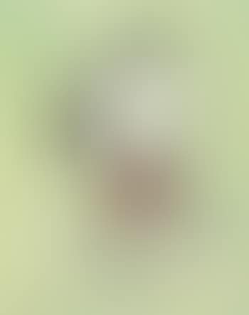 Mumps (preview)