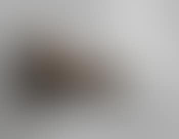 Beethoven's Trumpet (With Ear) Opus #133 (preview)