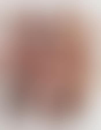 29XI84 (preview)