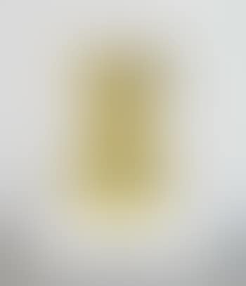 Ponchi-kun Gold (preview)