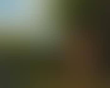 Tobias Und Der Engel (preview)