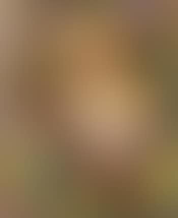Portrait of Linda Christian (preview)