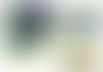 Untitled. Untitled. Untitled (preview)