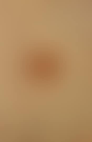 Untitled (Dingo Dreaming) (preview)